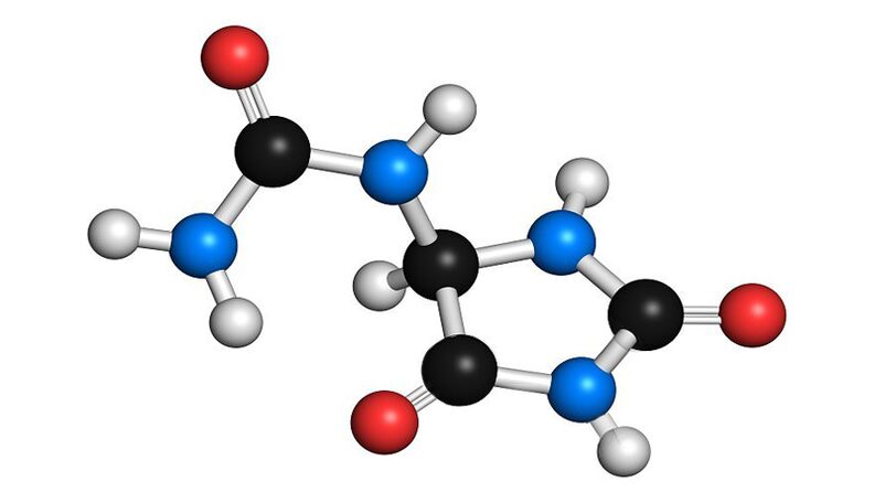 Allantoin v Hondrolife
